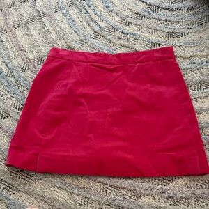 Elegant Pink Women's Skirt